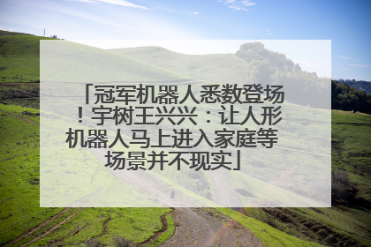 冠军机器人悉数登场！宇树王兴兴：让人形机器人马上进入家庭等场景并不现实